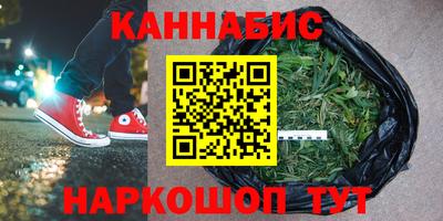 индика Тара