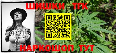 индика Тара