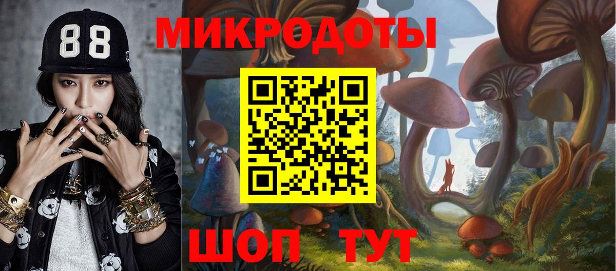 Маркс  Галлюциногенные грибы Psilocybe  Вход с VPN 