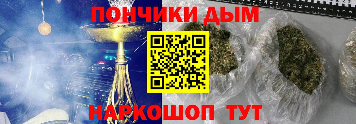 Канабис сатива Маркс